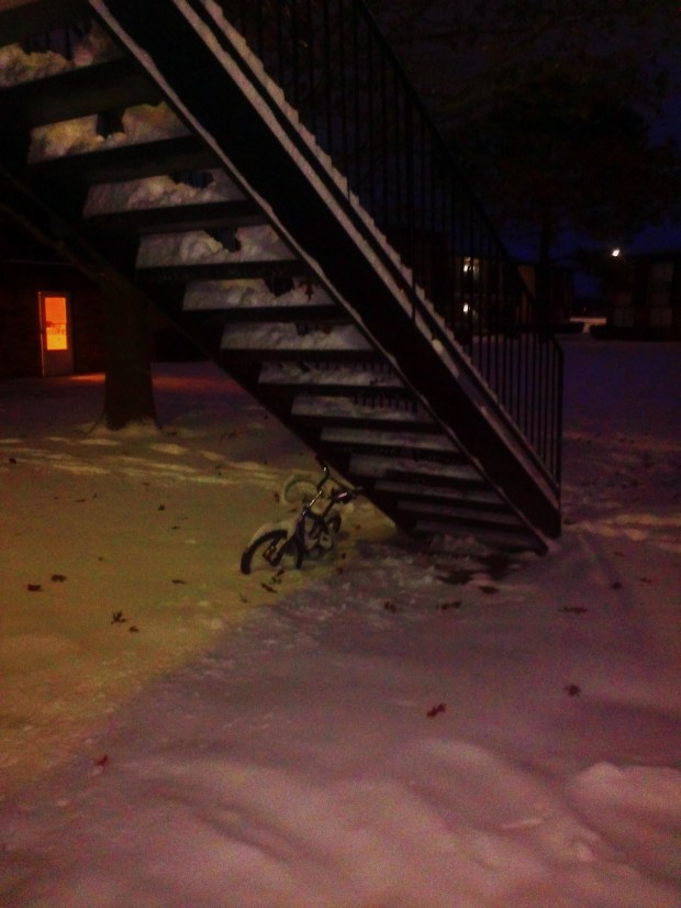 A berry merry evening