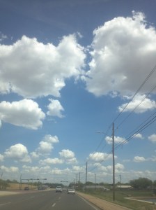 Wilderness of Freedom1