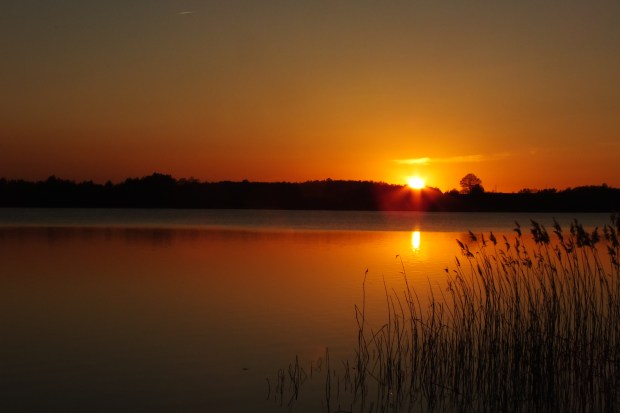 Photo courtesy of Sunnivra from DA